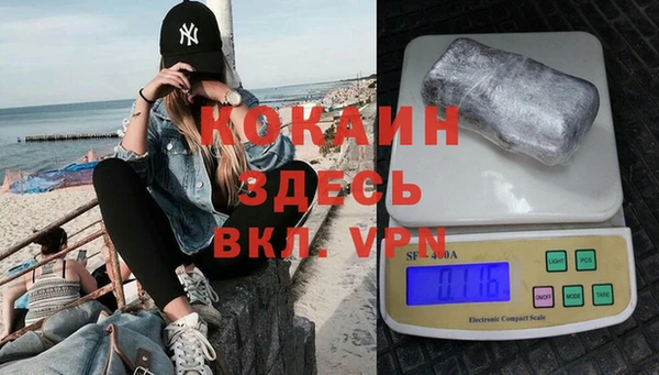 дживик Абинск