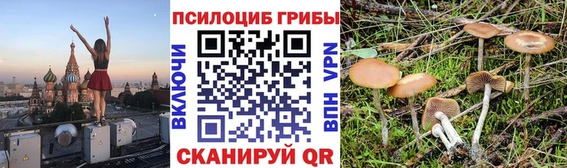 Псилоцибиновые грибы GOLDEN TEACHER  Калининград 